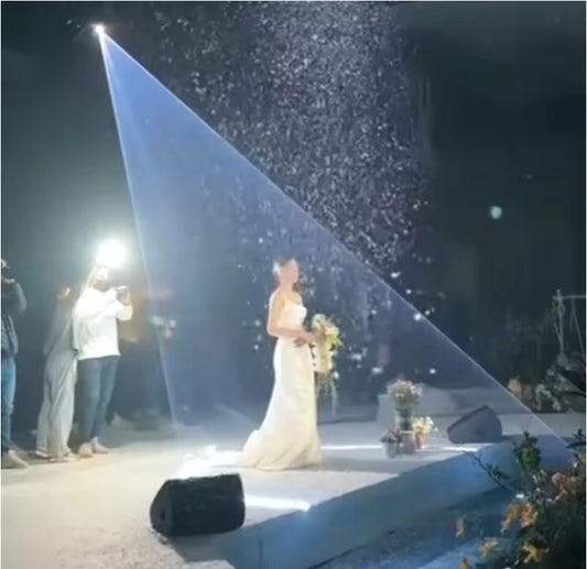 8W RGB Laser Animation Flower Line Scan Stage Lighting Equipment Good Effect Ilda for Club and Wedding Parties